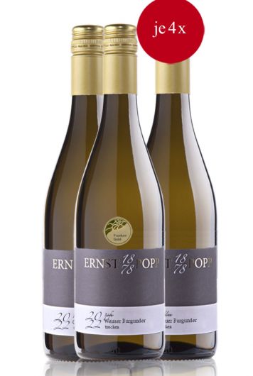 Probepaket "Burgunderweine"  groß